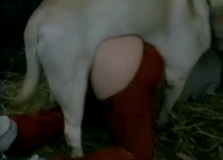 Dirty farm sex with a nice trained pet
