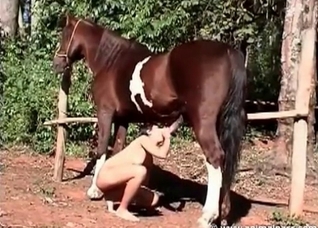 Trained horse cums a massive load