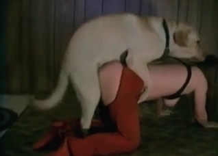 Playful retriever is fucking her snatch