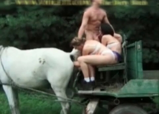 Anal exploration with a stallion
