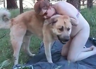Playful doggy is enjoying animal sex