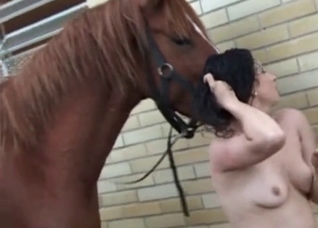 Two slender chicks and their stallion