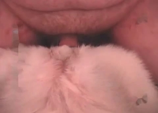Awesome anal sex with a horny doggy