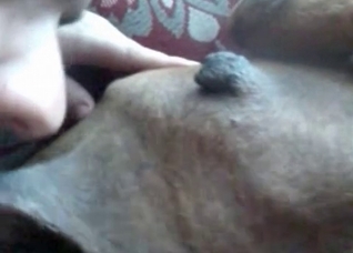 Dog is being fucked hard by a zoophile