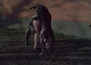 Pig is being explored and fucked