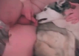 Truly perverted bestiality action