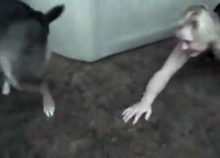 Husky is sucking a juicy vagina