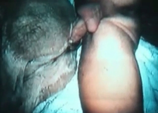 Horse is being pounded by a guy