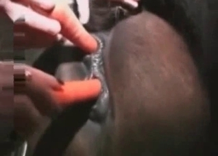 Filthy animal porn with a horse