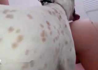 Tanned girl is having a hot animal porn