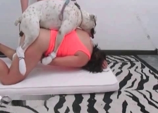 Tanned girl is having a hot animal porn