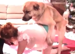 Hairy doggy is being fucked hard