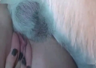 Insane dog fucks her tight snatch