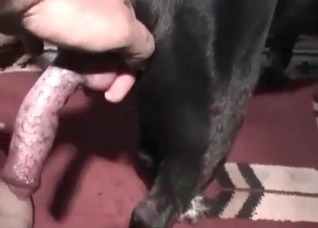 Crazy as hell animal penetration action