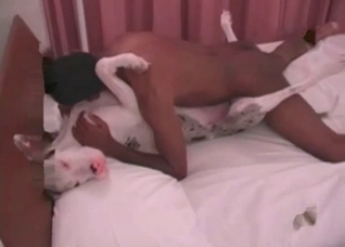 Nasty action with a cute pet