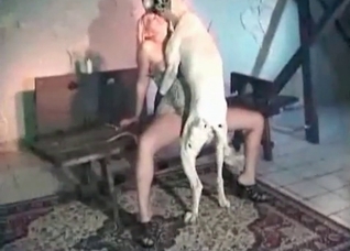 Dog fucks with a nice young babe