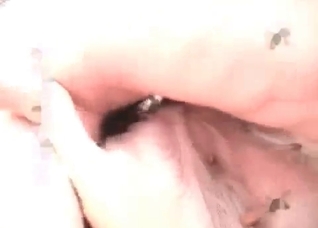 Naughty zoophile fucks a nice dog