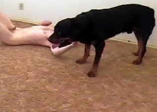 Black dog fucks a horny old man