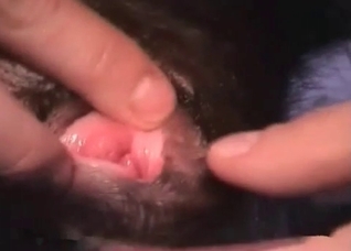 Crazy black dog gives a blowjob