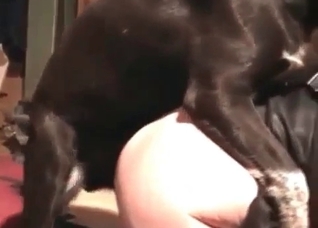 Busty chick is enjoying animal porn