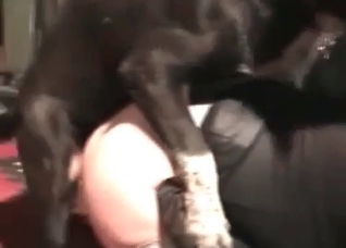 Busty chick is enjoying animal porn