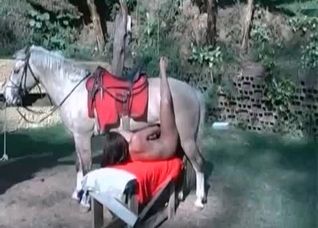 Awesome sex with a stunning horse