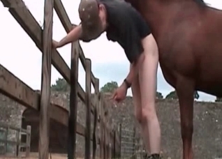 Awesome horse is having a filthy action