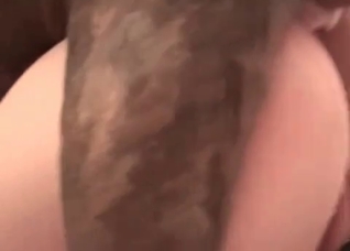 Dirty sex with a hardcore retriever