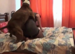 Dirty sex with a hardcore retriever