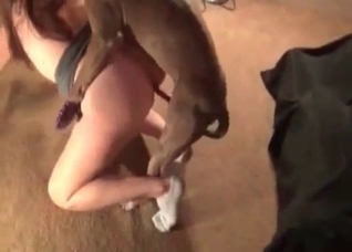 Hardcore dog fucks her small vagina