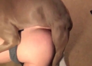 Hardcore dog fucks her small vagina