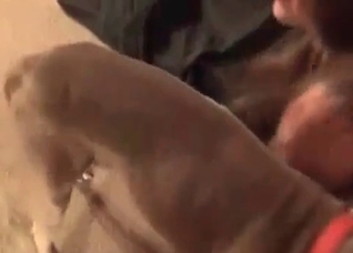 Hardcore dog fucks her small vagina