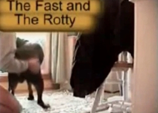 Nasty zoo porn action in the bedroom