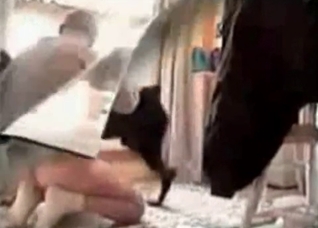 Nasty zoo porn action in the bedroom