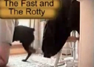 Nasty zoo porn action in the bedroom