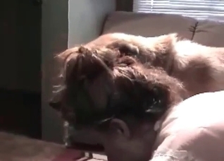 Crazy girl is sucking a doggy wiener