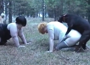 Filthy porn action with a doggy
