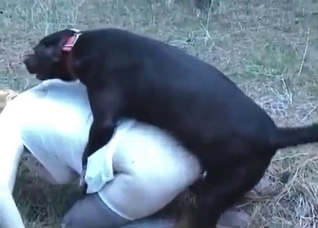 Filthy porn action with a doggy