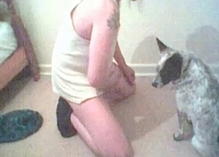 Sexy hound is blowing a small dick