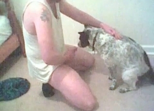 Sexy hound is blowing a small dick