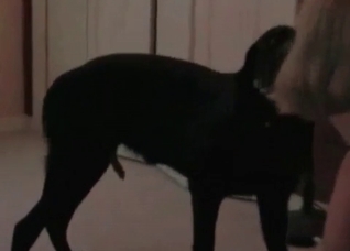 Dark hound fucks her small vagina