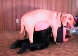 Lovely police doggy fucks a zoophile girl