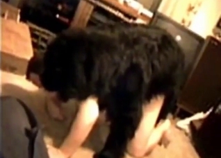 Dude with a fat ass needs dog boner inside