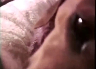 Dog puts its great oral skills to better use