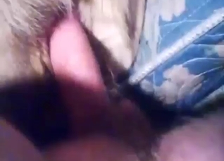 Dude puts his dick in his dog's tight hole