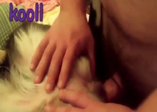Dude keeps this furry dog locked and gaped