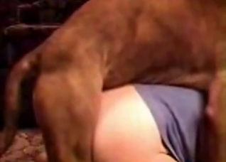 Brown beast thrusting in his sensitive ass