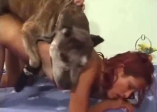 Truly breathtaking babe fucks a horny beast