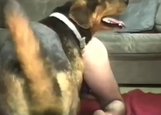 Dude pulls the dog closer to fuck his silly ass