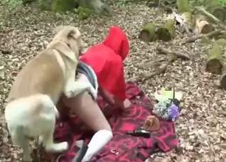 Red Riding Hood retelling with a horny dog